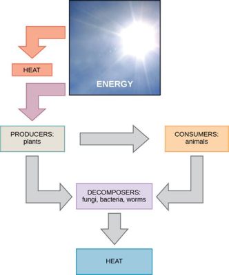 銅炭火如何改成電的：從舊能源走向新能源的轉型之路