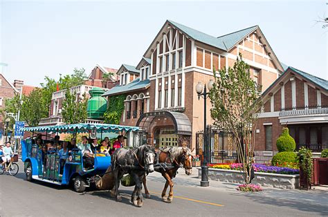 去五大花園怎麼走：探討不同的出行路徑及其風情體驗